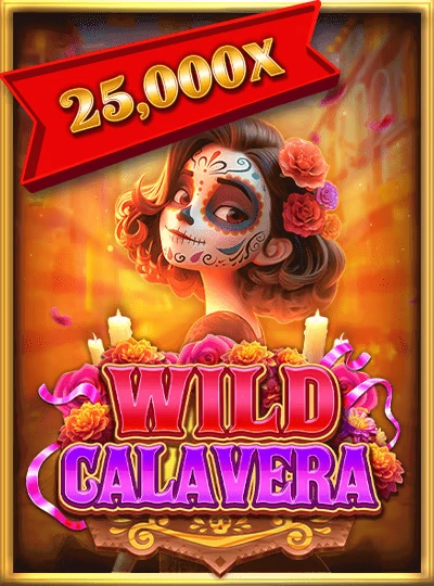 Fruit Machine slot cover